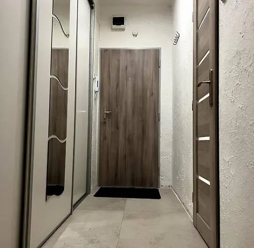 Apartment Bright And Comfy With Free Parking *